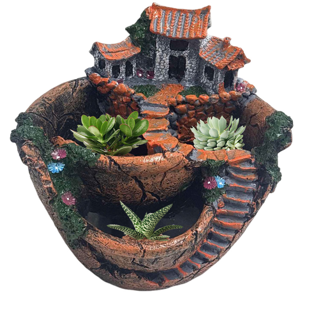Succulent Pot Vintage Multi Po - Cactus Mix Pot recensie en prijs