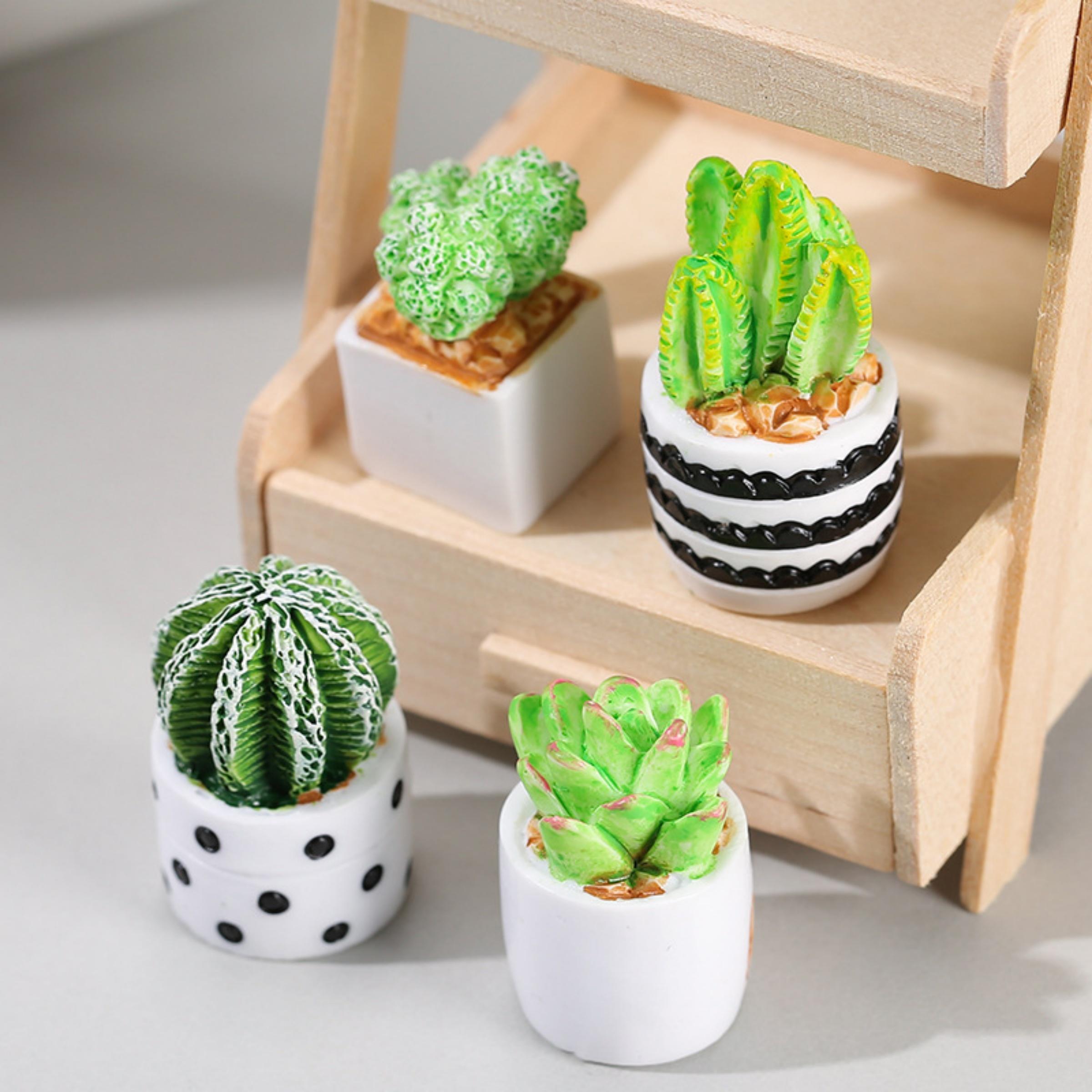 4-delige set cactus- en vetpla - Cactus Mix Pot recensie en prijs