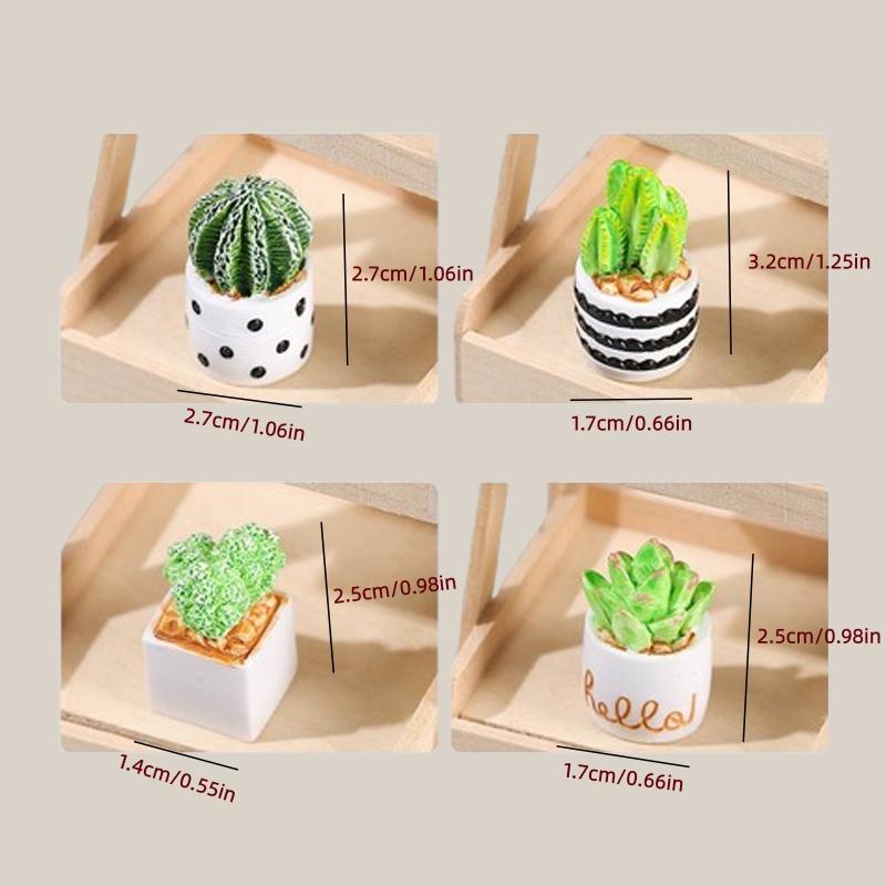 4-delige set cactus- en vetpla - Cactus Mix Pot recensie en prijs