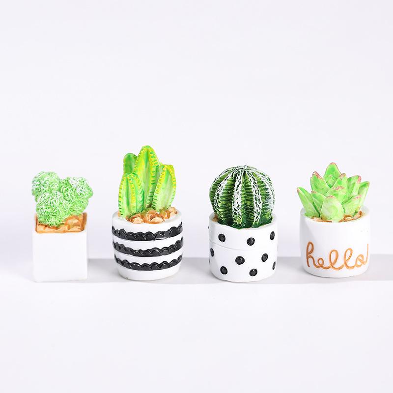 4-delige set cactus- en vetpla - Cactus Mix Pot recensie en prijs