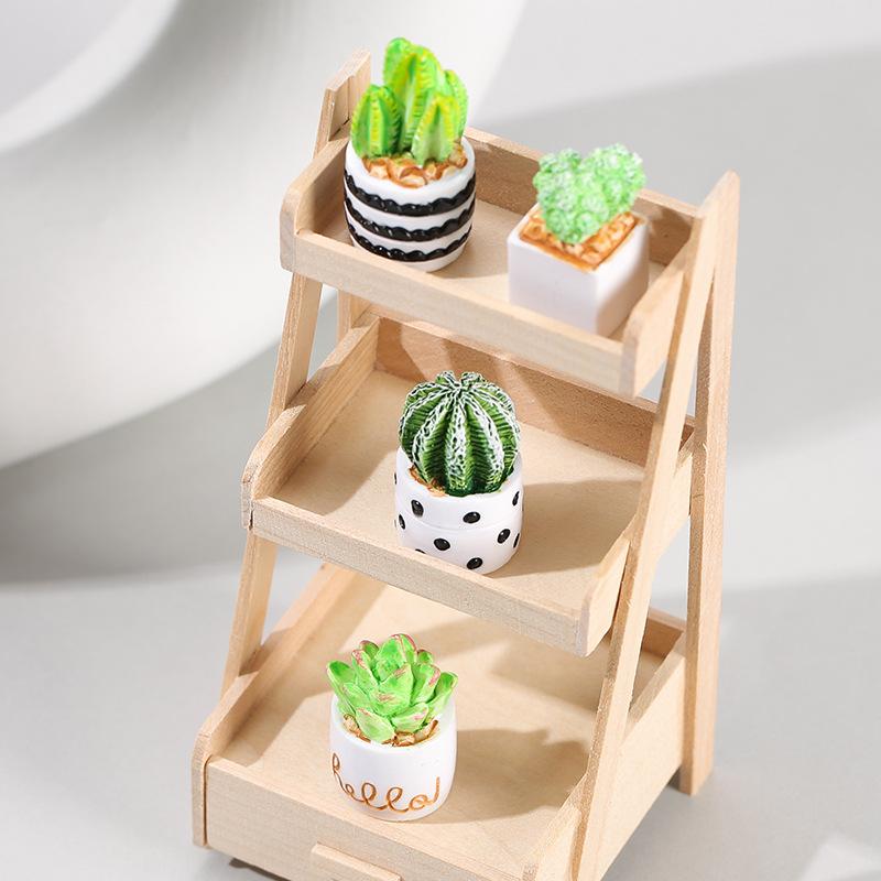 4-delige set cactus- en vetpla - Cactus Mix Pot recensie en prijs